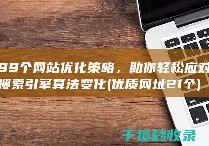 99个网站优化策略，助你轻松应对搜索引擎算法变化 (优质网址21个)