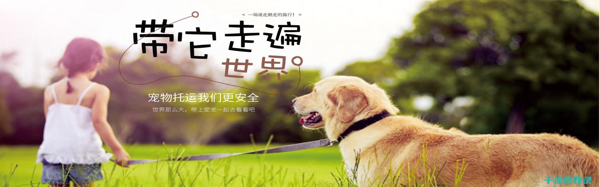 和护理要点