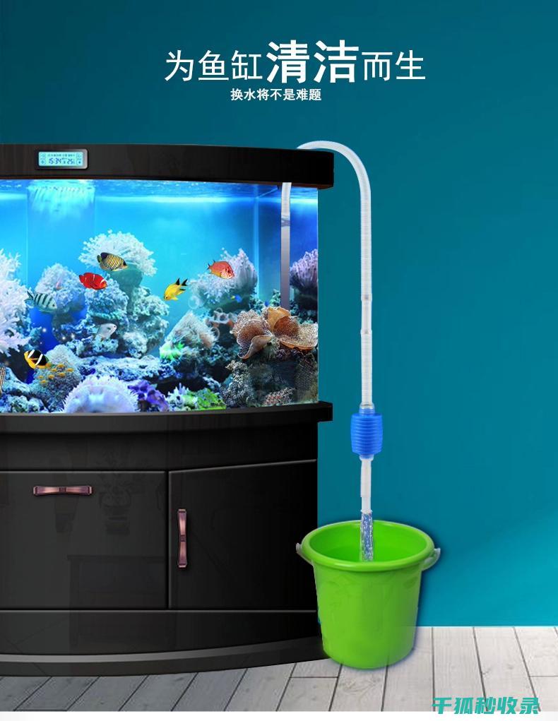 水族箱清洁技巧：如何安全移除水草根部污垢 (水族箱清洁技术规范)