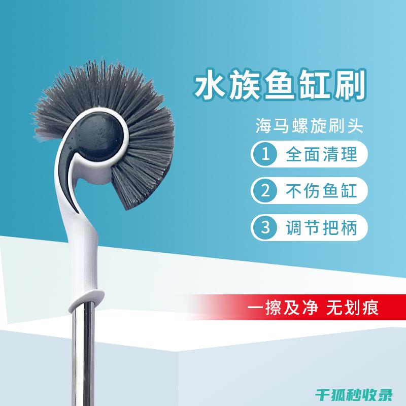 如何移除水草根部污垢