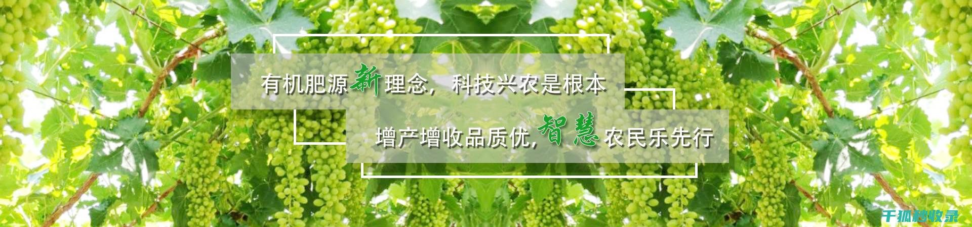 植物病虫害防治：如何精准识别和有效应对 (植物病虫害防治)