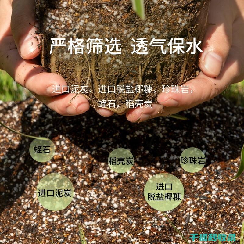盆栽土壤配比