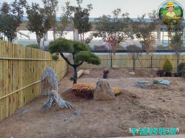打造无蚊花园：实用防蚊技巧大揭秘 (打造无蚊花园的意义)