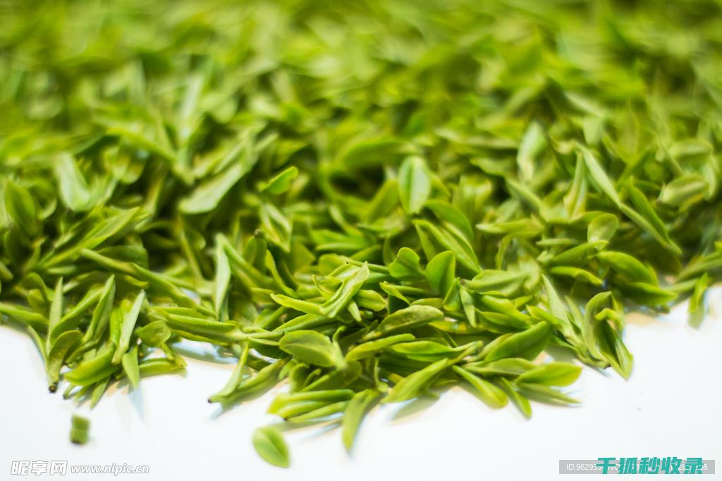 茶叶保存指南：避免茶叶变质的正确方法 (茶叶保存指南最新)