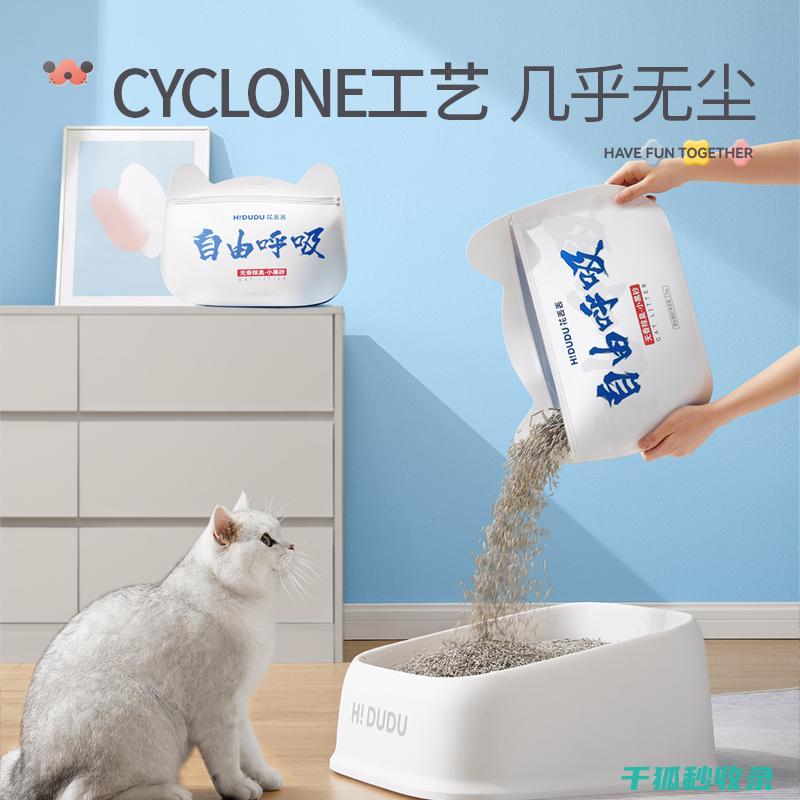 猫砂除臭经验谈：宠物主人的真实心得与建议 (猫砂除臭经验总结)