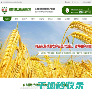 河南小麦玉米种子厂家
