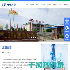 山西宝泰药业有限责任公司