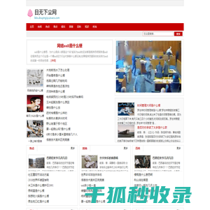 目无下尘网
