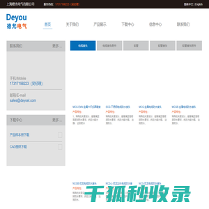 上海德尤电气有限公司