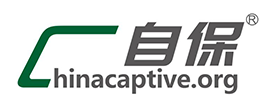 自保网